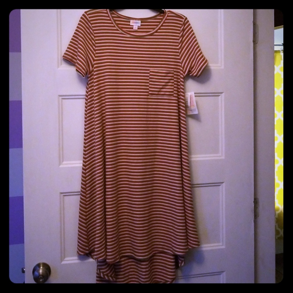 NWT Lularoe Carly XS